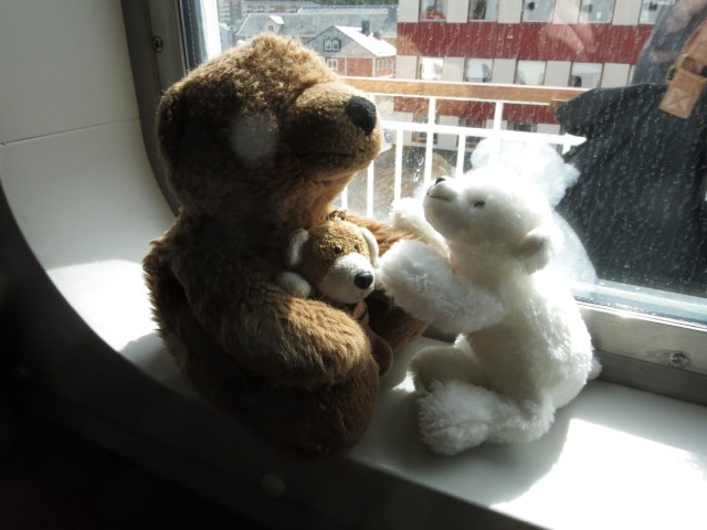 Hurtigruten_2015-06-24_12-27